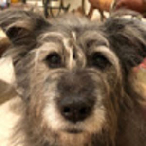 Meet your Posher, Cole